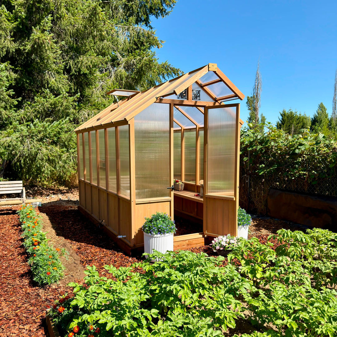 Types of Greenhouses: A Complete Buyer’s Guide to Choosing the Right Style